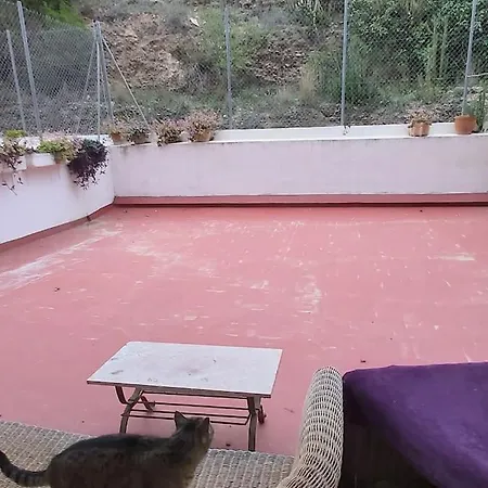3 Simples 2 Dobles Tortosa
